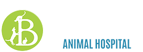 Vet | Bergzicht Animal Hospital Shop